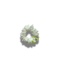 Flora — Scrunchie floreale verde e bianco